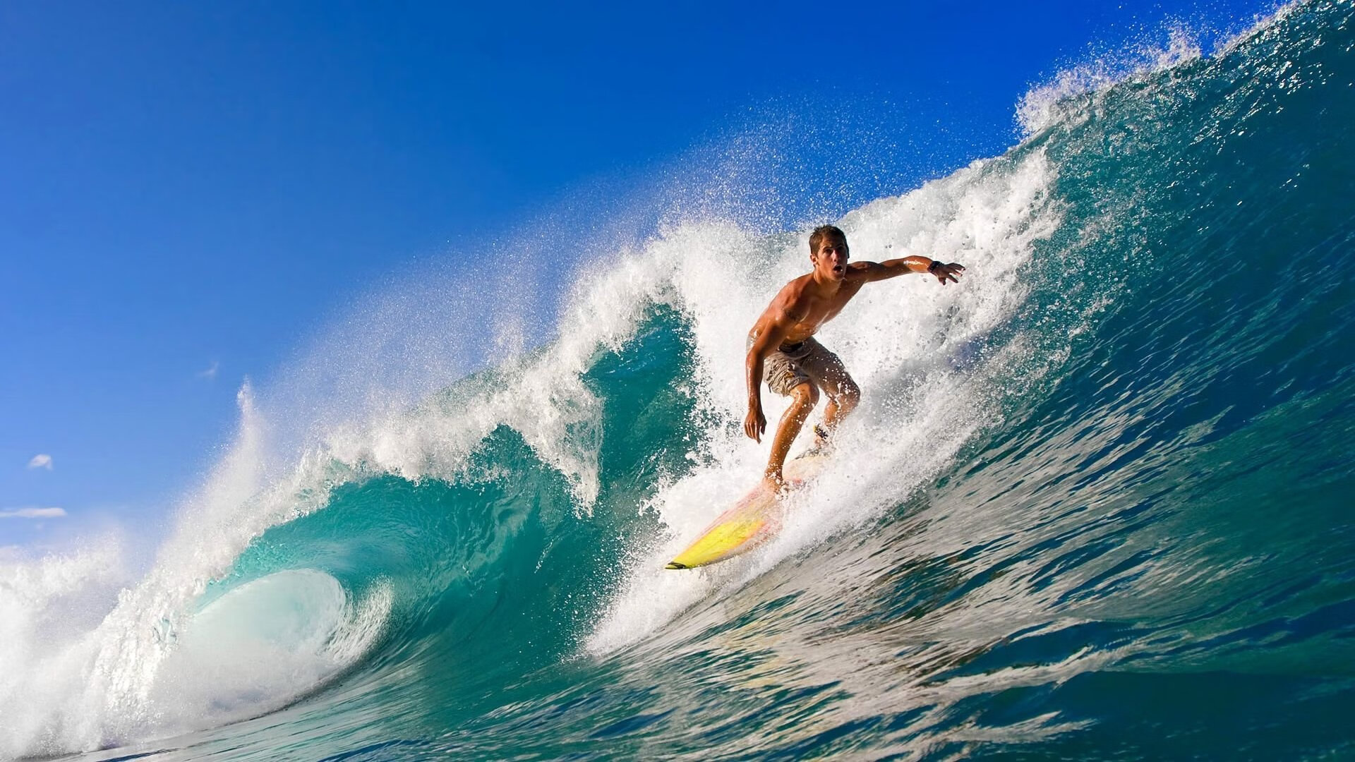 绿茵场上的橙色风暴,当欧冠半决赛的战术风云,遇见荷兰爆冷伊朗的启示